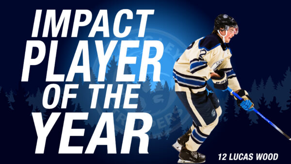 IMPACT PLAYER OF THE YEAR WOOD